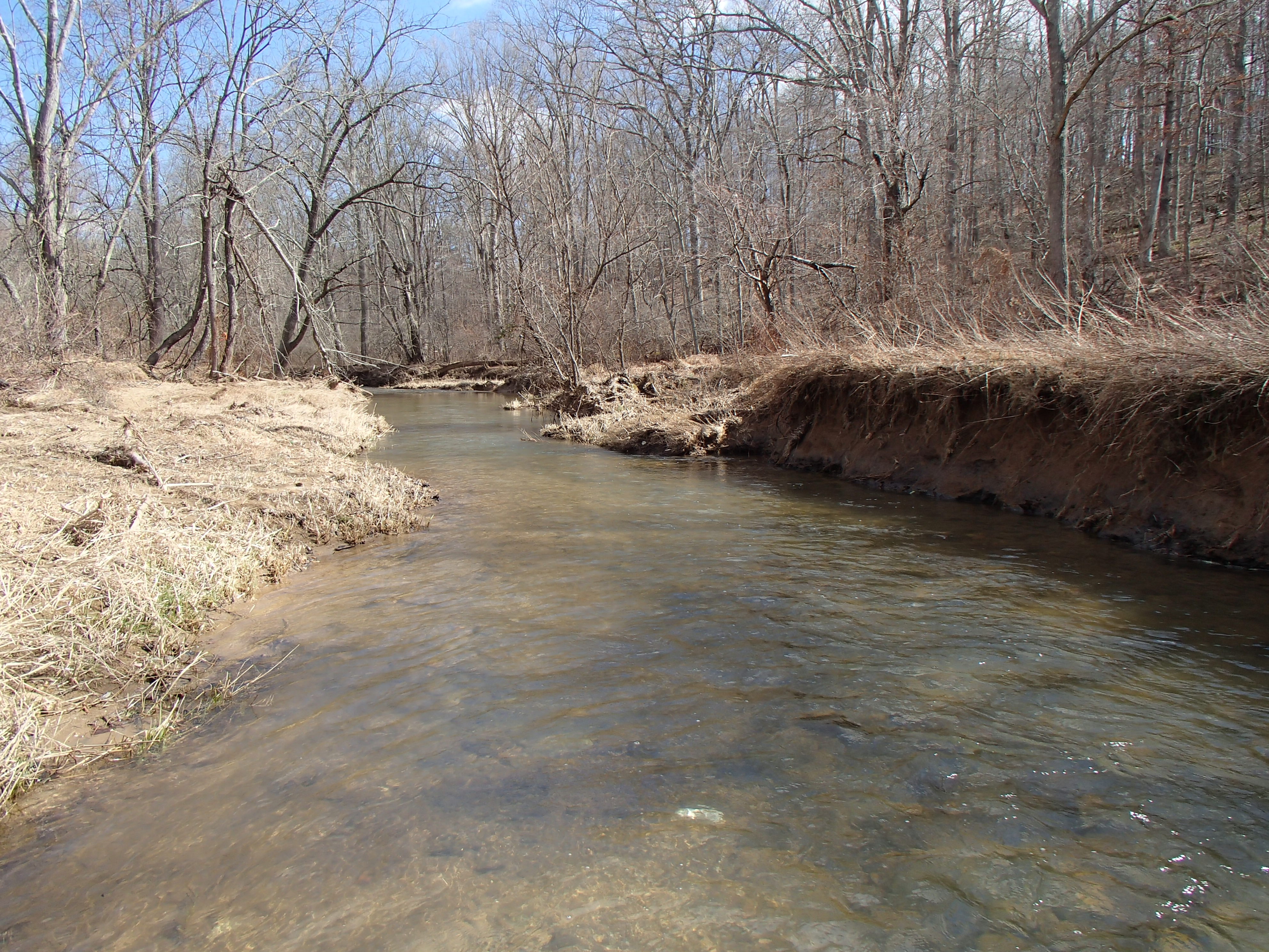 Field photo showing stream conditions at site LOCH-311-R-2016_midpoint looking downstream